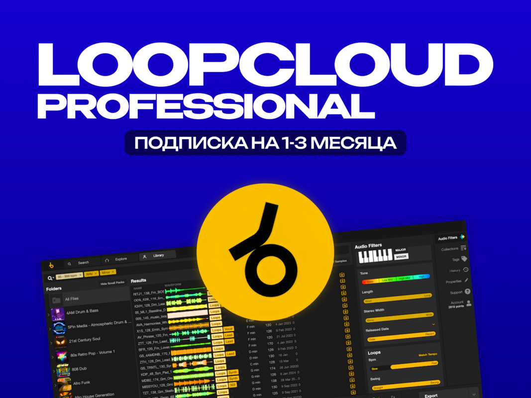 Loopcloud Professional 1 — подписка