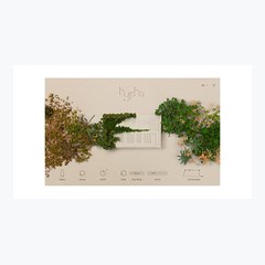 Hypha