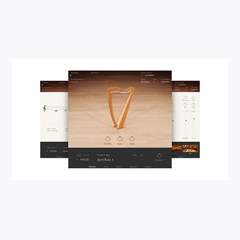 Irish Harp