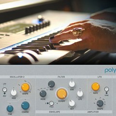 PolyMAX Synth